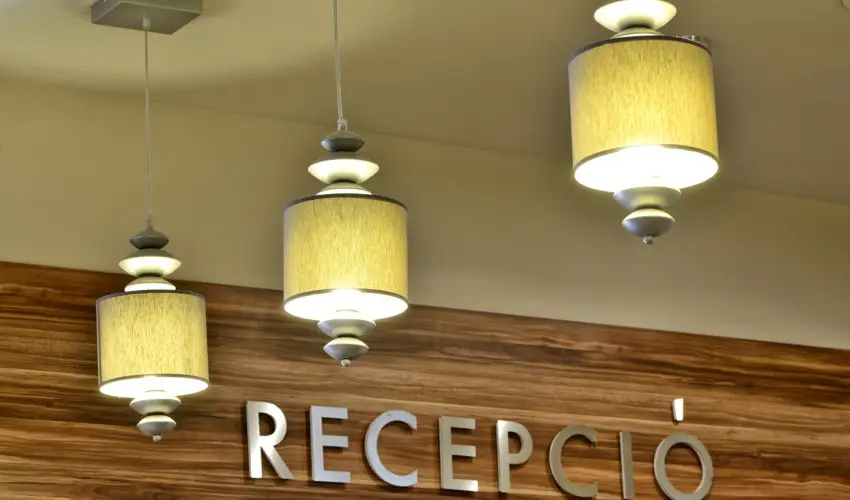 Pandora Zsry Apartmanok Mezkvesd - Augusztus 20. 