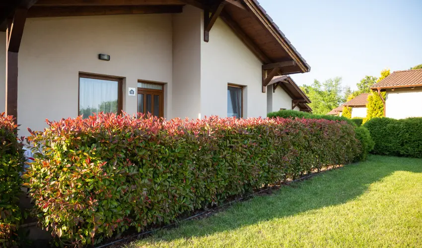 Pandora Zsry Apartmanok Mezkvesd - Augusztus 20. 