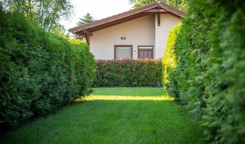 Pandora Zsry Apartmanok Mezkvesd - Augusztus 20. 