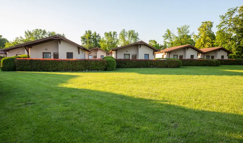 Pandora Zsry Apartmanok Mezkvesd - Augusztus 20. 