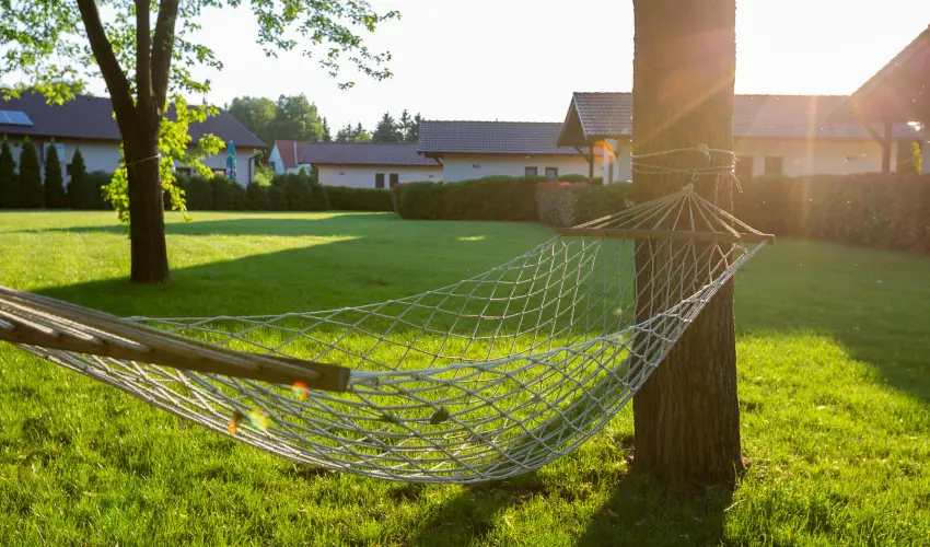 Pandora Zsry Apartmanok Mezkvesd - Augusztus 20. 