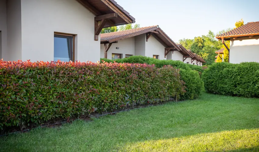 Pandora Zsry Apartmanok Mezkvesd - Augusztus 20. 