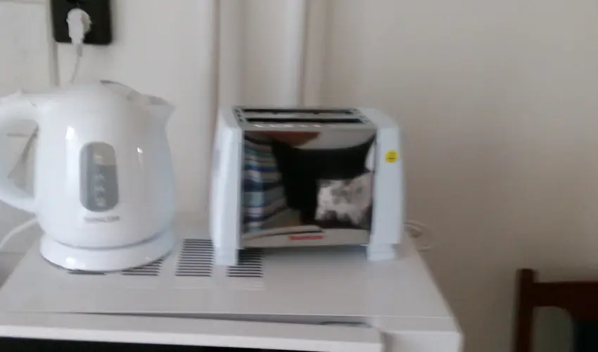 Paprika Vend�gh�z Hark�ny - Augusztus 20. (min. 2 �j)