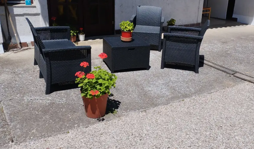 Paprika Vend�gh�z Hark�ny - Augusztus 20. (min. 2 �j)