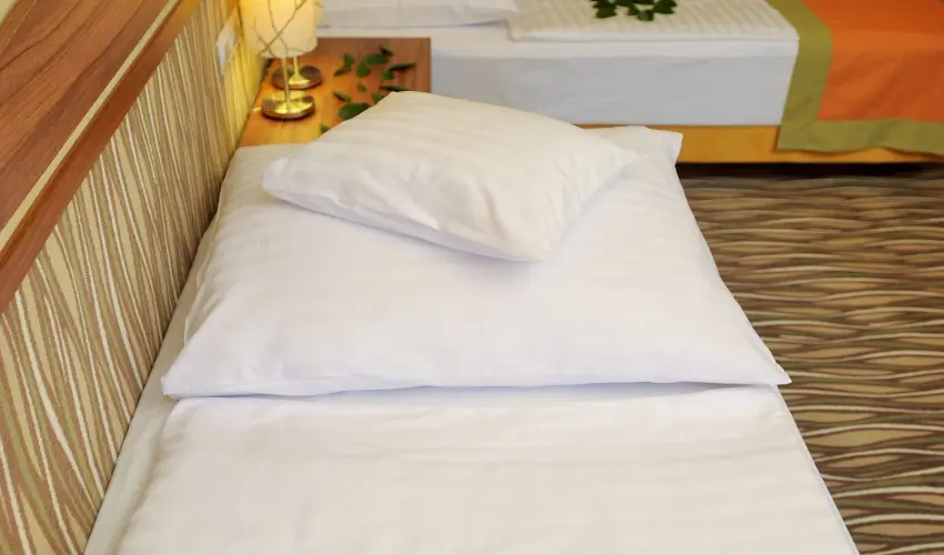 Park Hotel Gyula Gyula - Augusztus 20.  (min. 2 j)