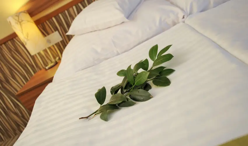 Park Hotel Gyula Gyula - Augusztus 20.  (min. 2 j)