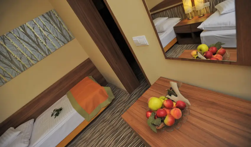 Park Hotel Gyula Gyula - Augusztus 20.  (min. 2 j)