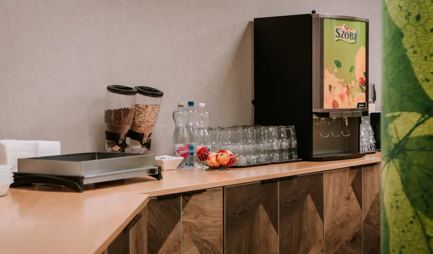 Park Hotel Sst Nyregyhza - Augusztus 20.