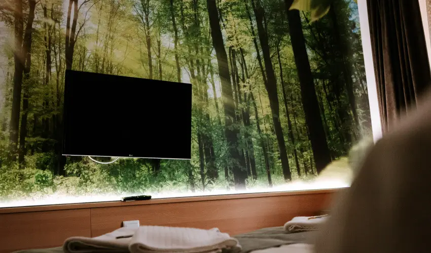 Park Hotel Sst Nyregyhza - Augusztus 20.