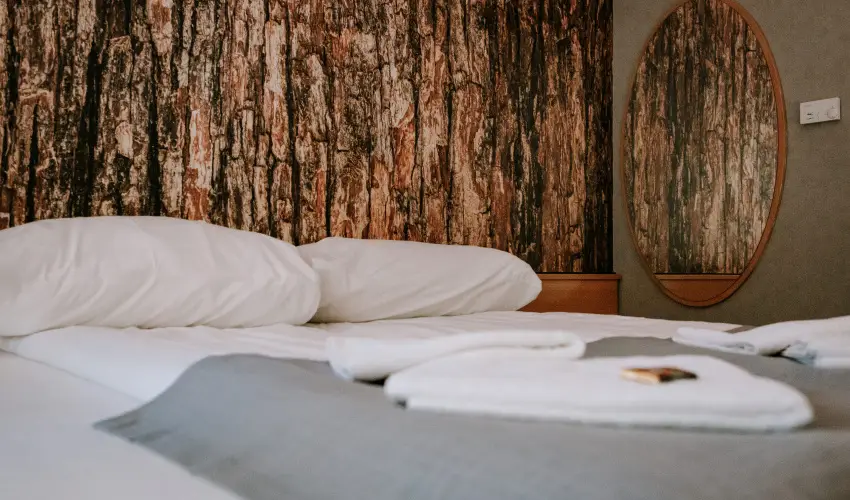 Park Hotel Sst Nyregyhza - Augusztus 20.