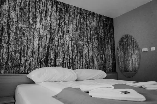 Park Hotel S�st� - Augusztus 20. (min. 2 �j)