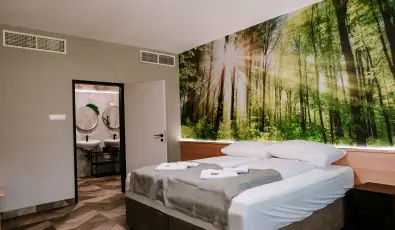 Park Hotel Sst Nyregyhza