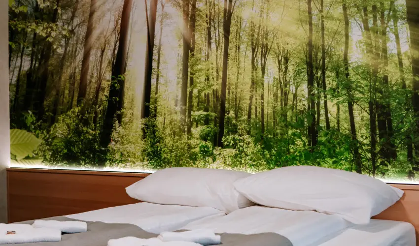 Park Hotel Sst Nyregyhza - Augusztus 20.