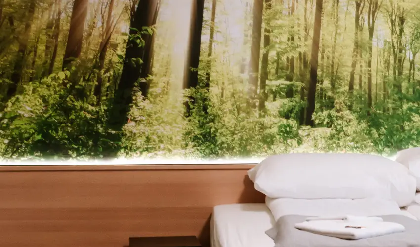 Park Hotel Sst Nyregyhza - Augusztus 20.