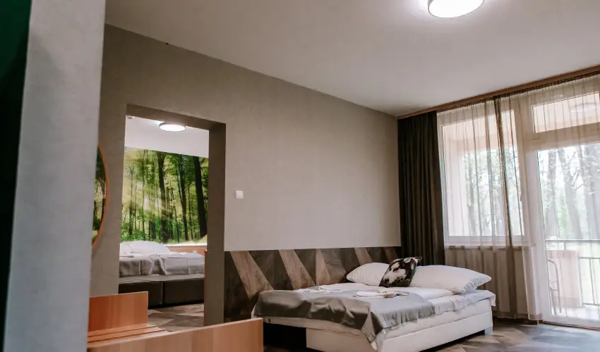 Park Hotel Sst Nyregyhza - Augusztus 20.