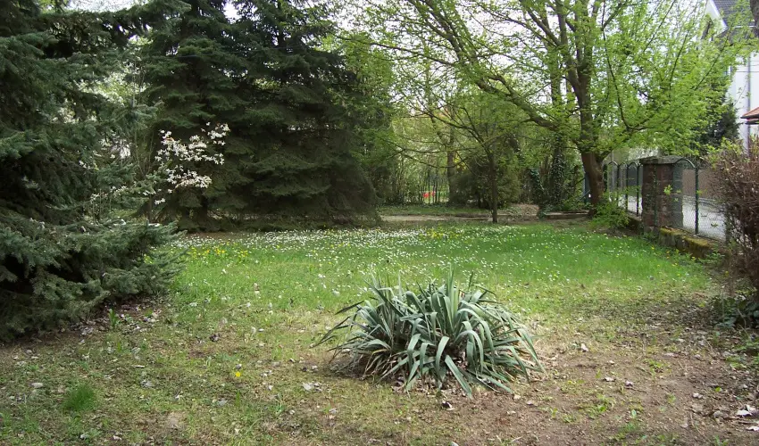 Parti Stny Vendghz Balatonkenese - Augusztus 20.