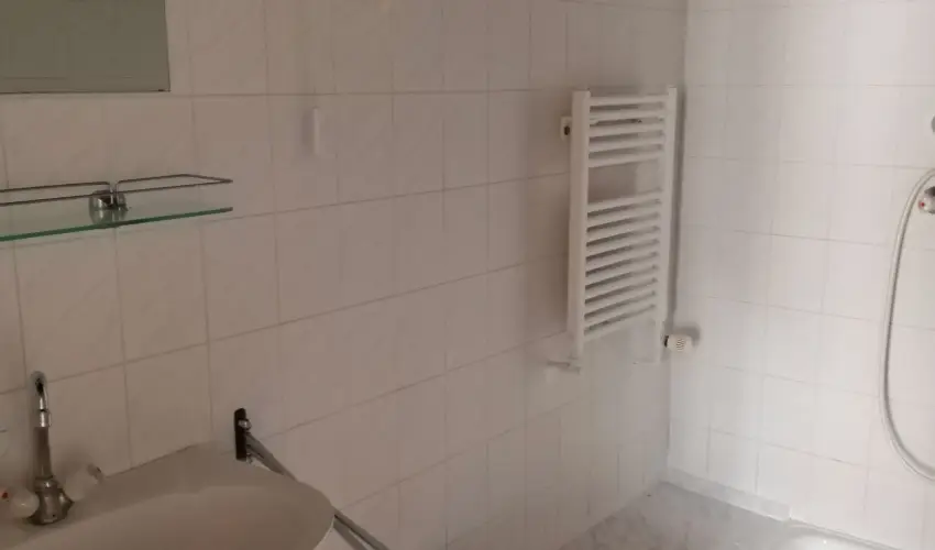 Parti Stny Vendghz Balatonkenese - Augusztus 20.