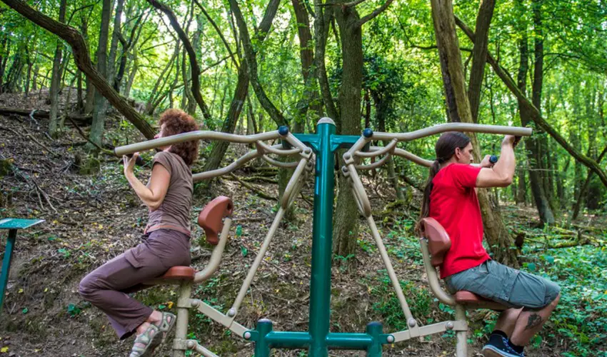 Patak Park Hotel Visegr�d - Augusztus 20.