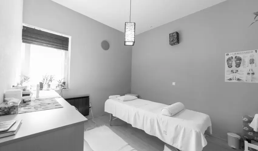 Pelso Panzi� Balatonm�riaf�rd� - Augusztus 20. - teljes el�refizet�ssel (min. 3 �j)