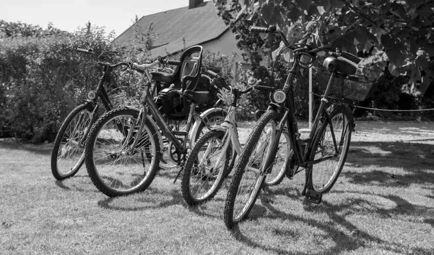 Pelso Panzi� Balatonm�riaf�rd� - Augusztus 20. - teljes el�refizet�ssel (min. 3 �j)