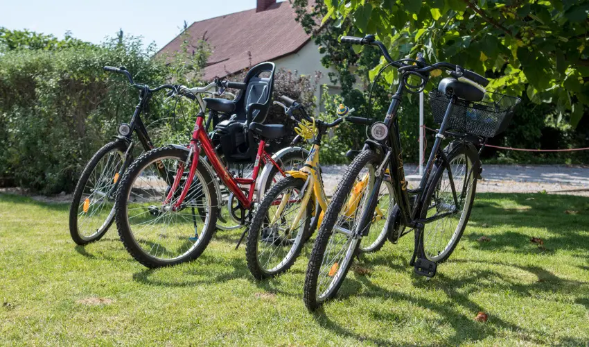 Pelso Panzi Balatonmriafrd - Augusztus 20. (min. 3 j)