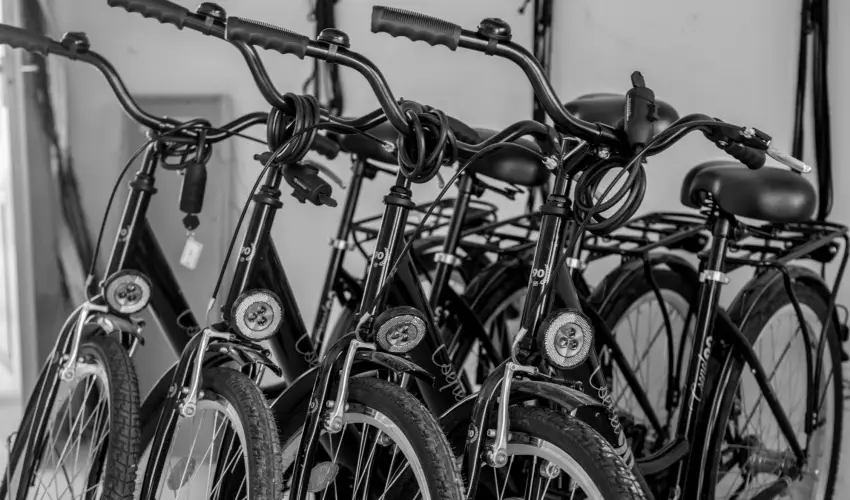 Pelso Panzi� Balatonm�riaf�rd� - Augusztus 20. - teljes el�refizet�ssel (min. 3 �j)