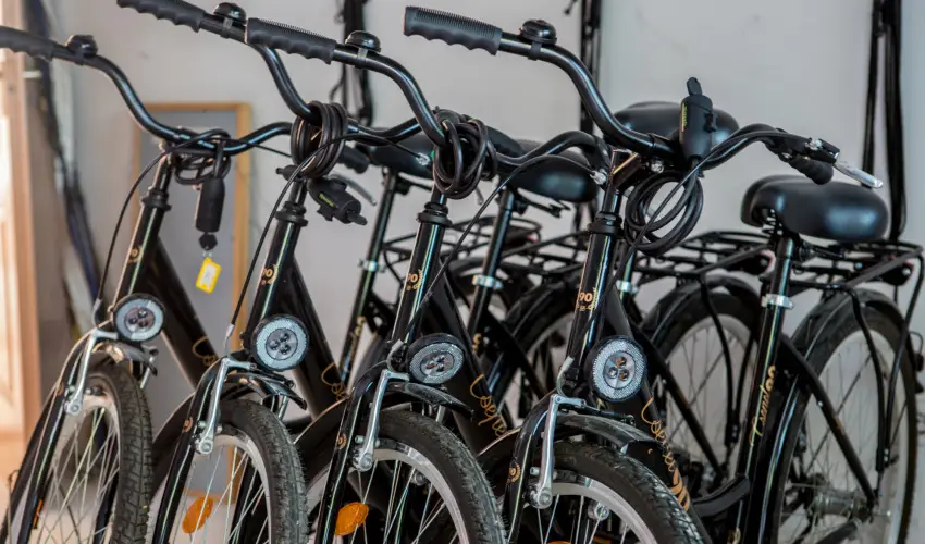 Pelso Panzi Balatonmriafrd - Augusztus 20. (min. 3 j)