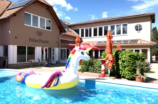 Pelso Panzi - Augusztus 20. (min. 3 j)