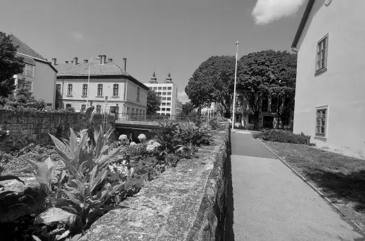 Pitypang Apartman - Augusztus 20. (min. 2 �j)