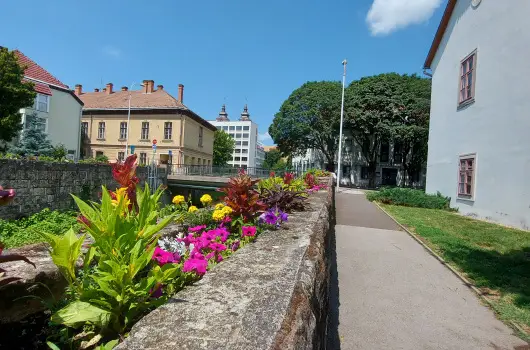 Pitypang Apartman - Augusztus 20. (min. 2 �j)