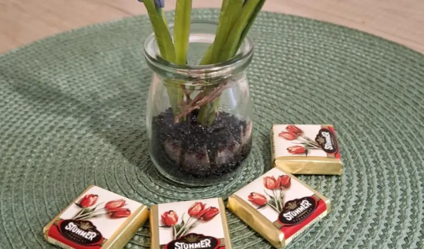 Pitypang Apartman Eger - Augusztus 20. (min. 2 �j)