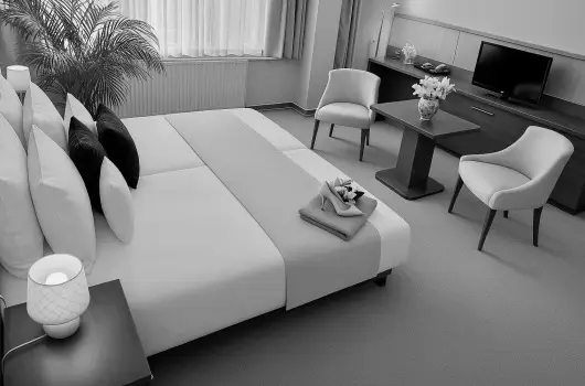 Pl�za Hotel Gyula - Augusztus 20. (min. 2 �j)