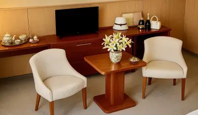 Pl�za Hotel Gyula Gyula