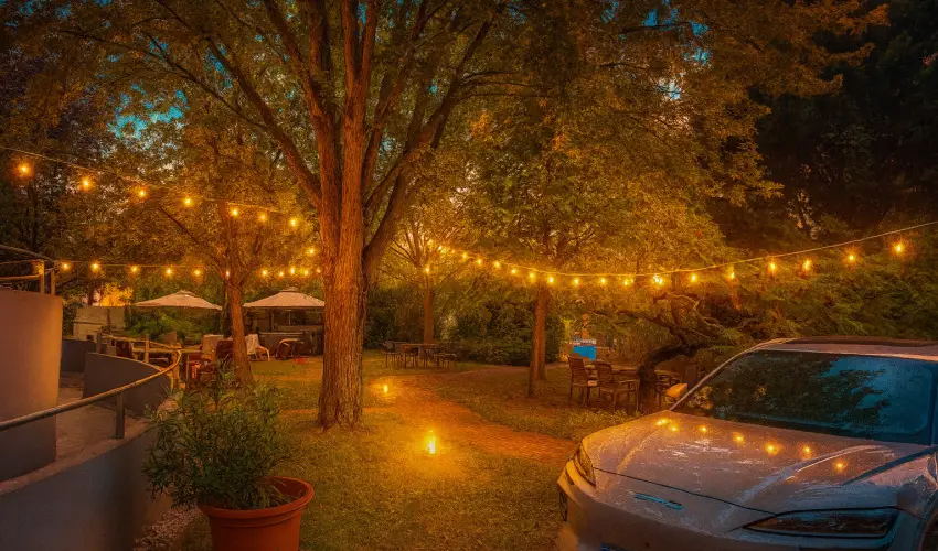 Pl�za Hotel Gyula Gyula - Augusztus 20.