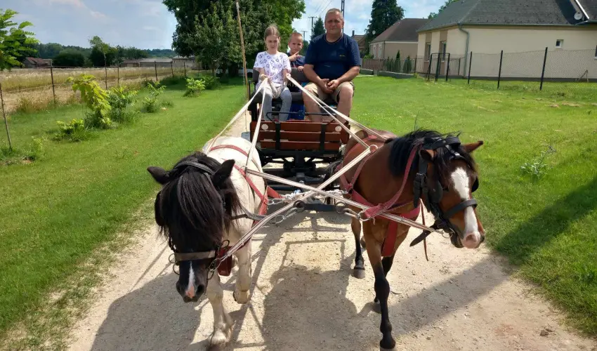 Pni Kuck Vendghz s Minifarm  Hosszvlgy - Augusztus 20.