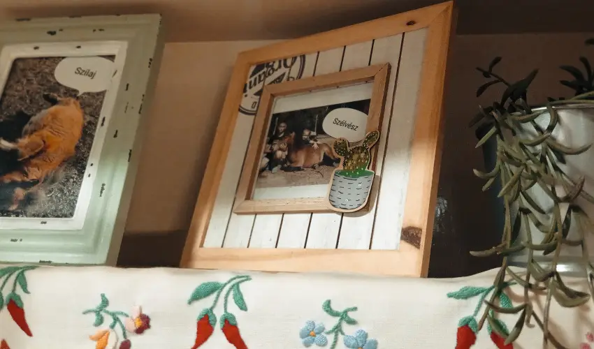 Pni Kuck Vendghz s Minifarm  Hosszvlgy - Augusztus 20.