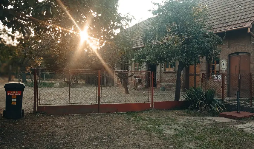 Pni Kuck Vendghz s Minifarm  Hosszvlgy - Augusztus 20.