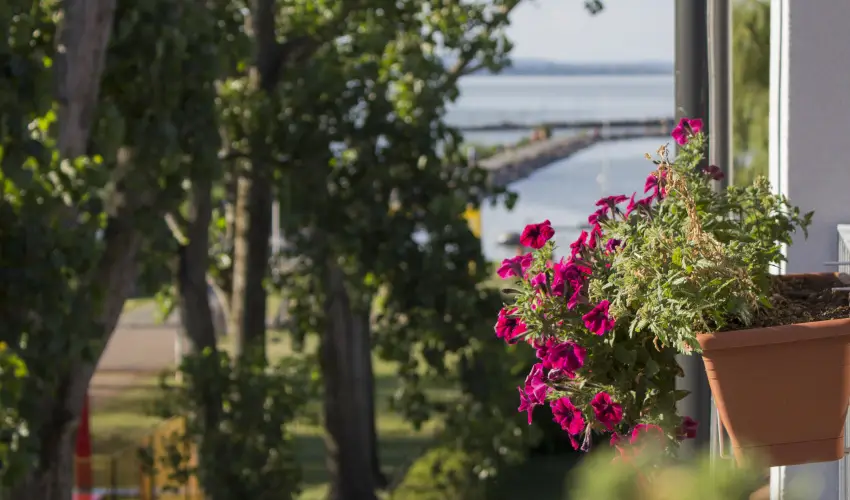 Port tterem & Panzi Balatonmriafrd - Augusztus 20. (min. 3 j)