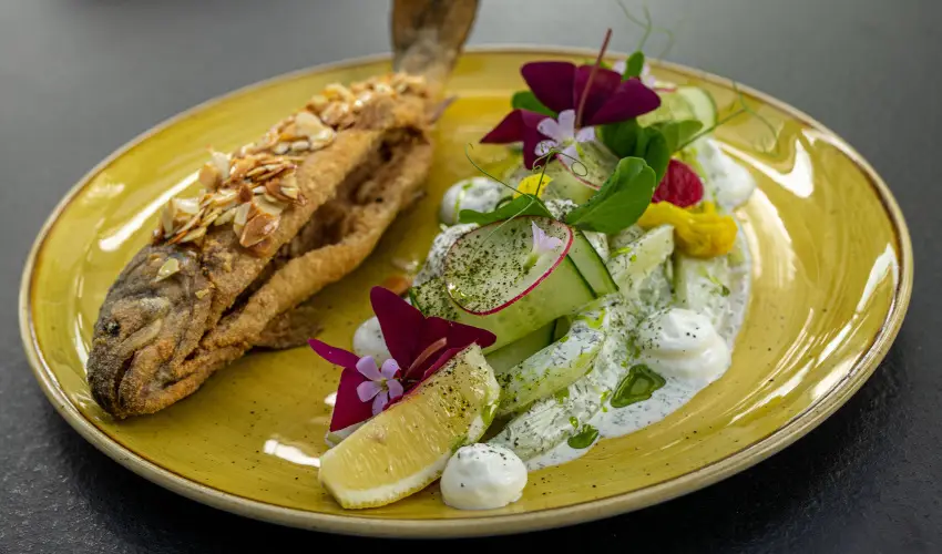 Port tterem & Panzi Balatonmriafrd - Augusztus 20. (min. 3 j)