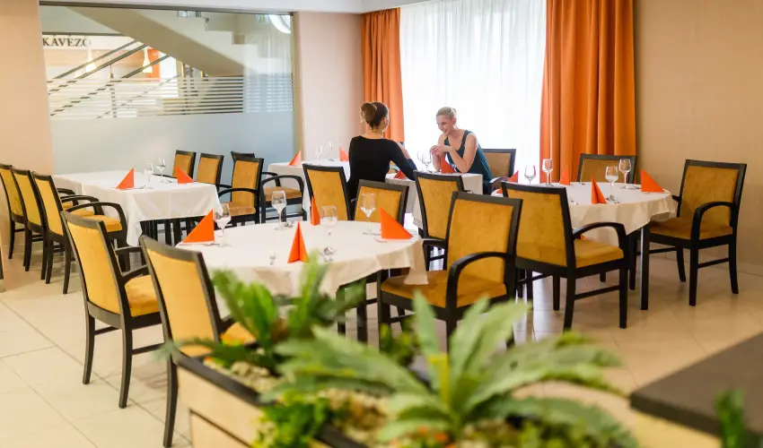 Harknyi Psoriasis Centrum Harkny - Augusztus 20. (min. 2 j)