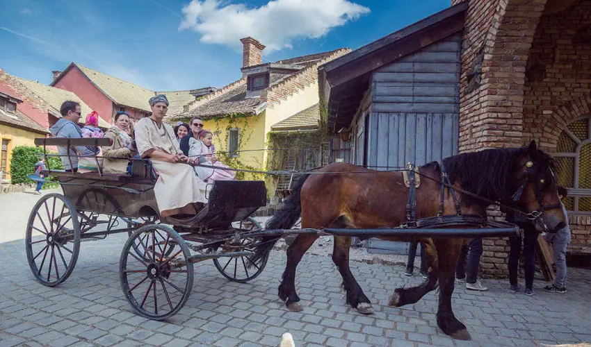 Puchner Kastlyszll Bikal - Augusztus 20. (min. 3 j)