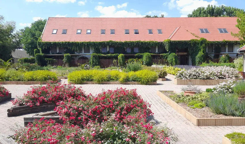 Puchner Kast�lysz�ll� Bikal - Augusztus 20. - speci�lis el�refizet�ssel (min. 3 �j)