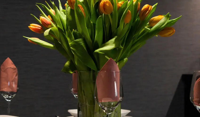 R31 Residence S�rv�r - Augusztus 20. (min. 2 �j)