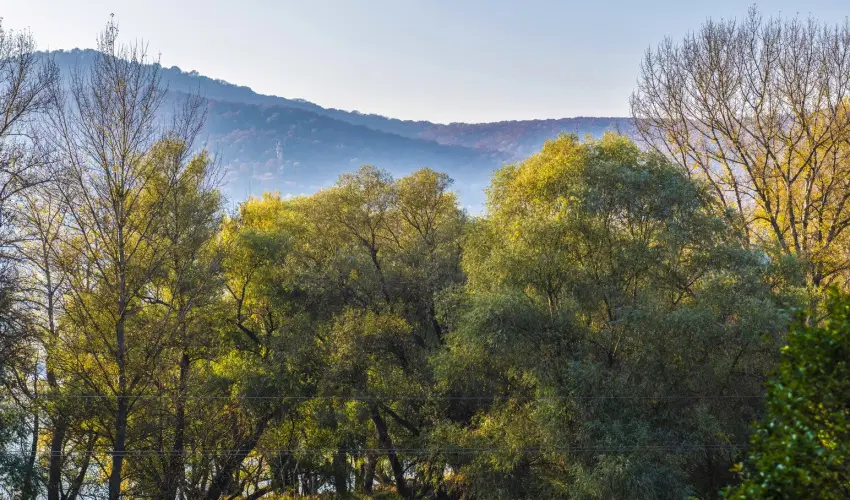 Royal Club Hotel Visegrd - Augusztus 20. (min. 3 j)