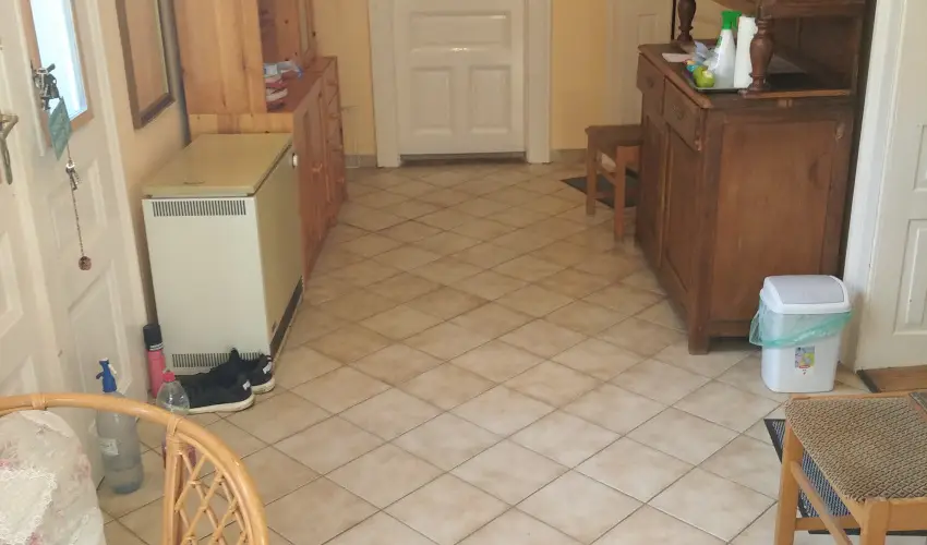 Rzsi Vendghz Mihlyhza - Augusztus 20. (min. 2 j)