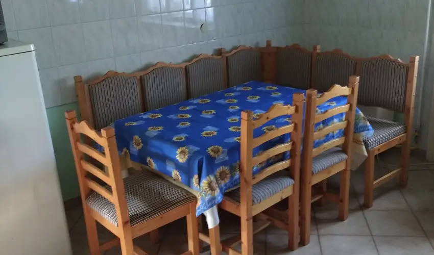 Rzsi Vendghz Mihlyhza - Augusztus 20. (min. 2 j)