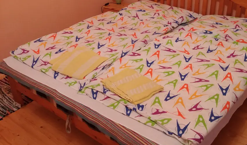 Rzsi Vendghz Mihlyhza - Augusztus 20. (min. 2 j)