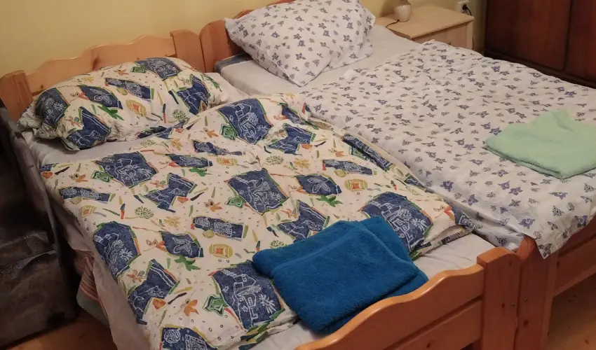 Rzsi Vendghz Mihlyhza - Augusztus 20. (min. 2 j)