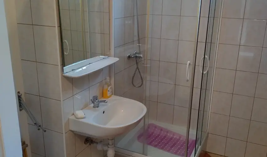 Rzsi Vendghz Mihlyhza - Augusztus 20. (min. 2 j)