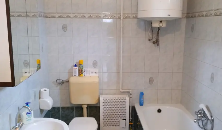 Rzsi Vendghz Mihlyhza - Augusztus 20. (min. 2 j)